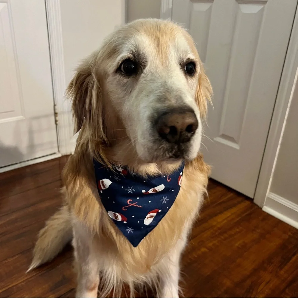 Wondershop Navy Santa & Candy Cane Pet Bandanas